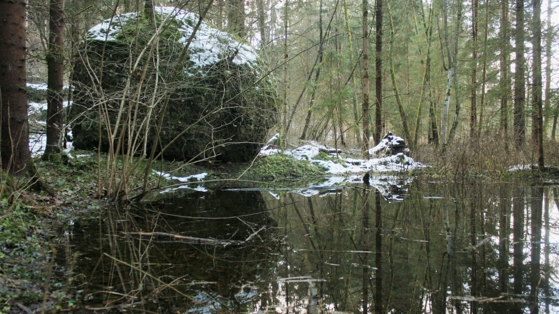 Stadtwanderweg 41. Foto: Birgit Frank