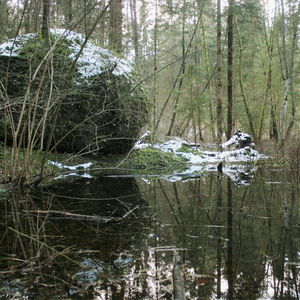 Klagenfurter Stadtwanderweg 41