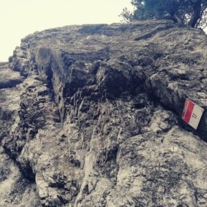 Klettergärten Mizzi-Langer-Wand & Lutterwand