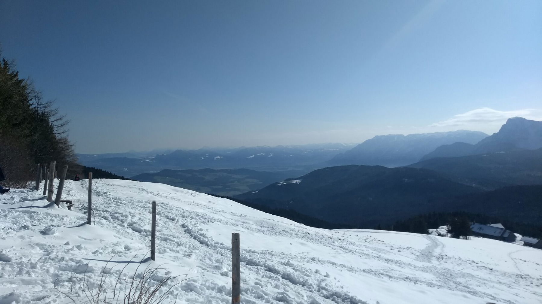 Gute Fernsicht im Gipfelbereich. Foto: Nikolaus Vogl