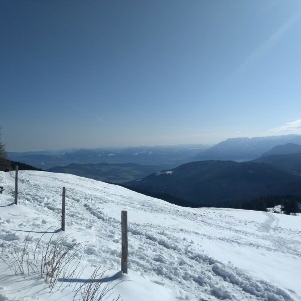 Gute Fernsicht im Gipfelbereich. Foto: Nikolaus Vogl