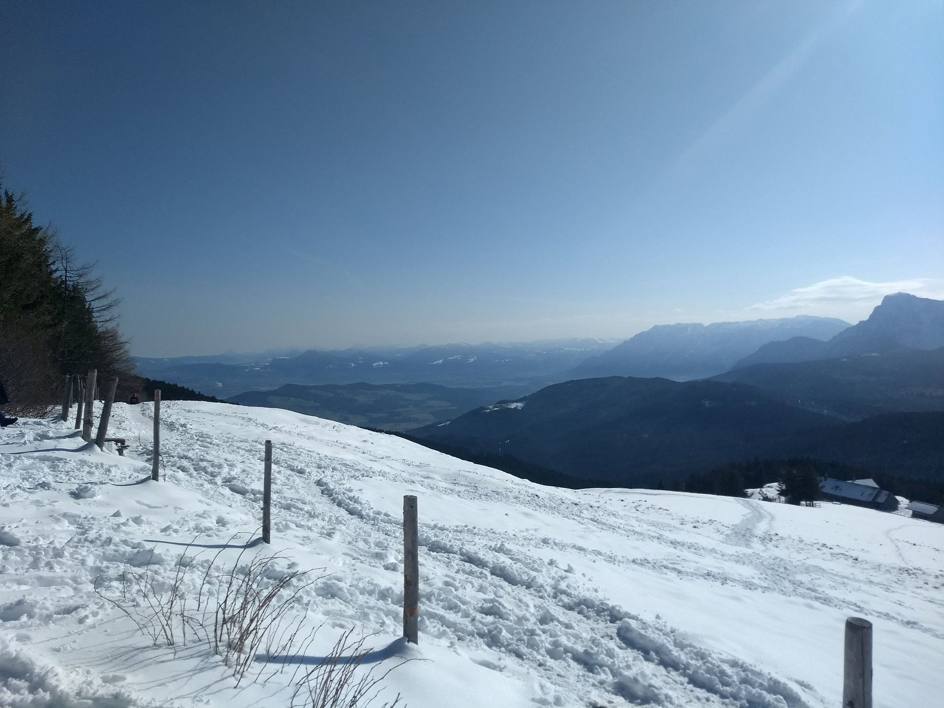 Gute Fernsicht im Gipfelbereich. Foto: Nikolaus Vogl