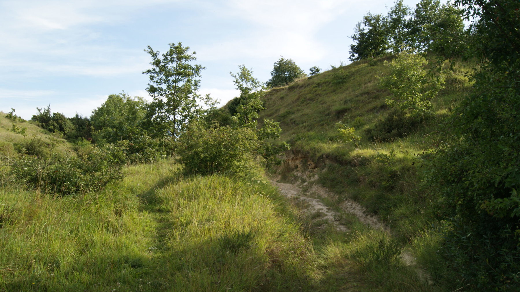 2 Natura Trail „Vom Rosaliengebirge zum Neusiedler See“ Etappe 2