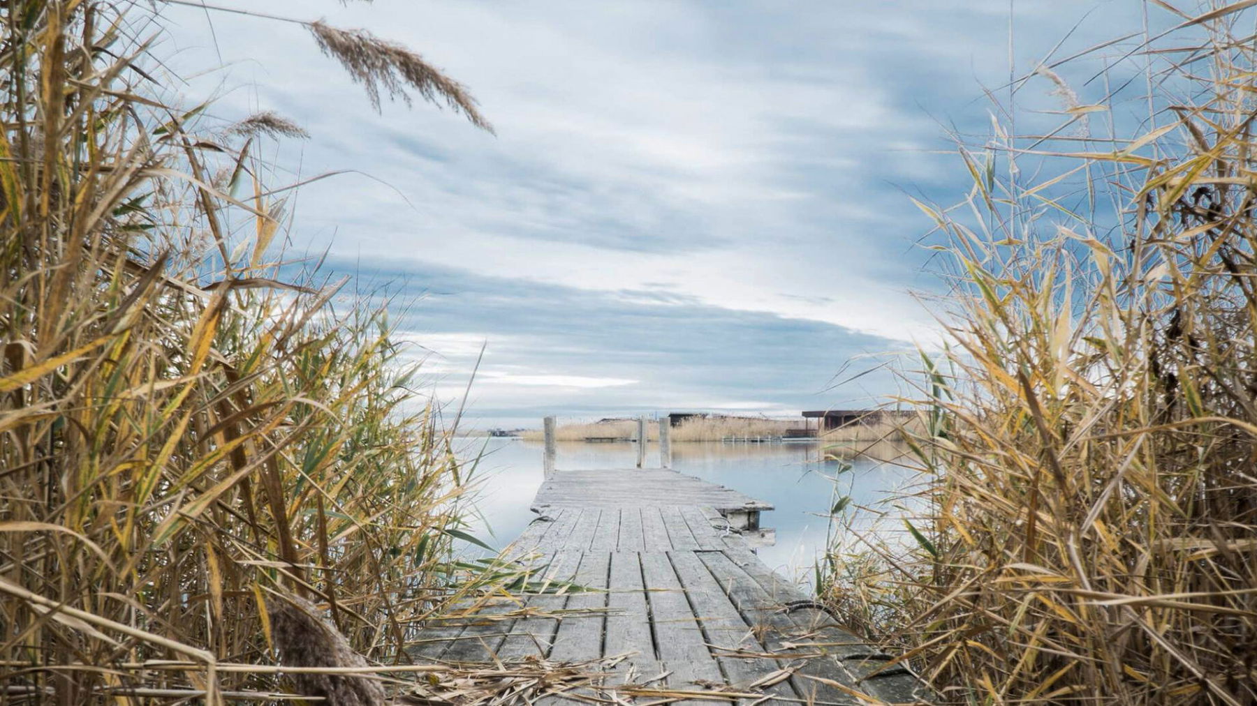 Natura Trail Etappe 3. Foto: Naturfreunde Österreich
