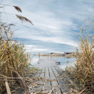 3: Natura Trail „Vom Rosaliengebirge zum Neusiedler See“ Etappe 3