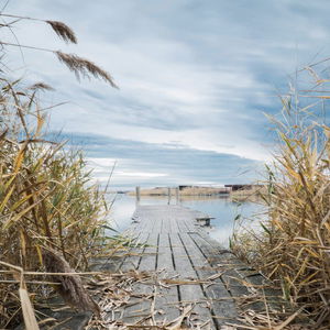 3: Natura Trail „Vom Rosaliengebirge zum Neusiedler See“ Etappe 3