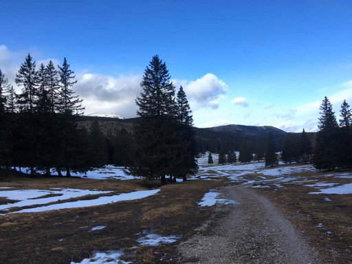 Waldburgangerhütte und Bodenwiese, Fotos Veronika Schöll