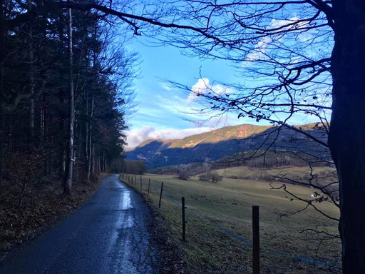 Von Prigglitz hinauf zur Schwarzenberg Aussicht. Fotos Veronika Schöll