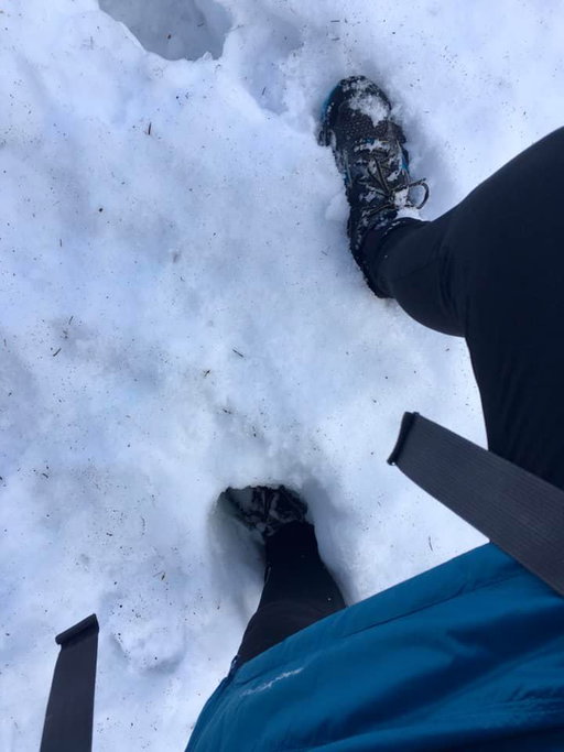 Schneeschmelze auf der Bodenwiese, Fotos Veronika Schöll