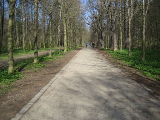 Schwarzenbergpark. Foto: Johann Fischer