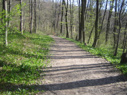 Aufstieg Exelberg. Foto: Johann Fischer