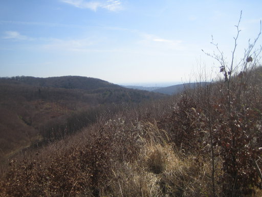 Blick vom Exelberg auf Wien. Foto: Johann Fischer