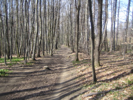 Am Exelberg. Foto: Johann Fischer