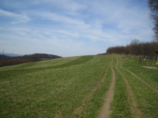 Wiese am Exelberg 1. Foto: Johann Fischer