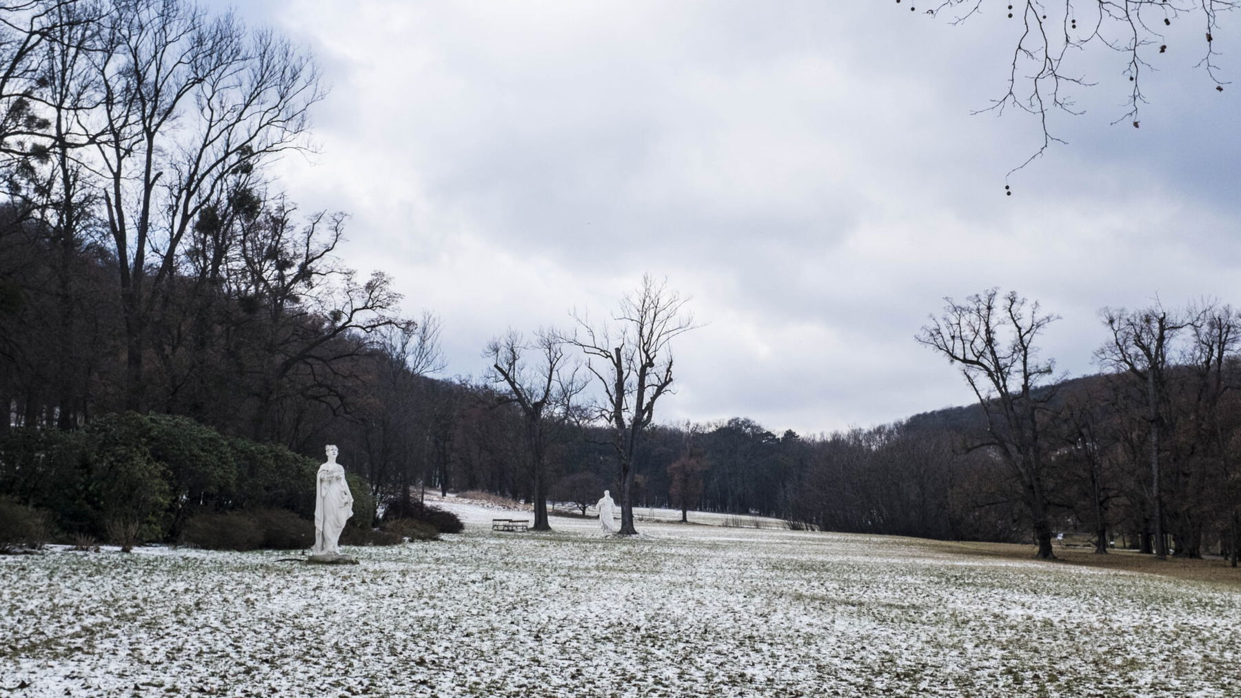 Pötzleinsdorfer Schlosspark. Foto: Birgit Reiter
