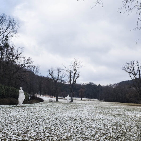 Pötzleinsdorfer Schlosspark. Foto: Birgit Reiter