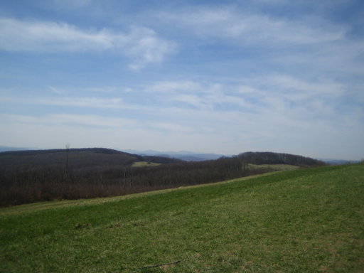 Wiese am Exelberg 2. Foto: Johann Fischer