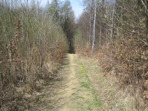 Abstieg nach Unterkirchbach 1. Foto: Johann Fischer