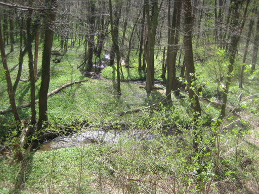 Hagenbachklamm 1. Foto: Johann Fischer