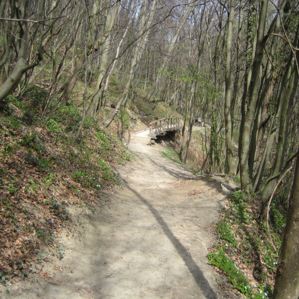 Hagenbachklamm 2. Foto: Johann Fischer