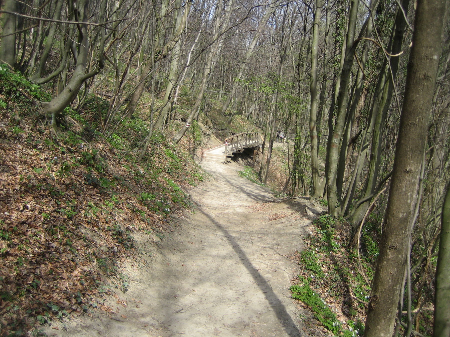 Von Hernals nach Wördern