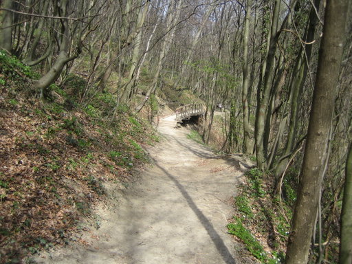 Hagenbachklamm 2. Foto: Johann Fischer