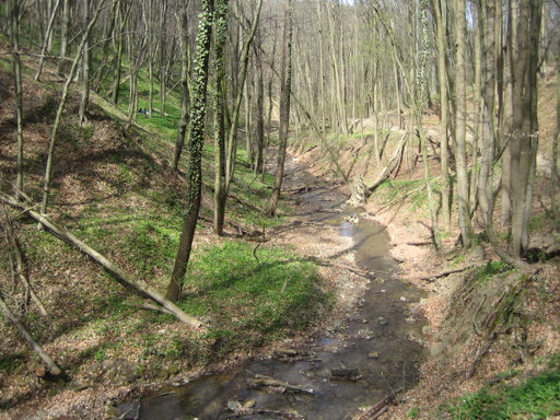 Hagenbachklamm 3. Foto: Johann Fischer