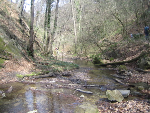 Hagenbachklamm 4. Foto: Johann Fischer