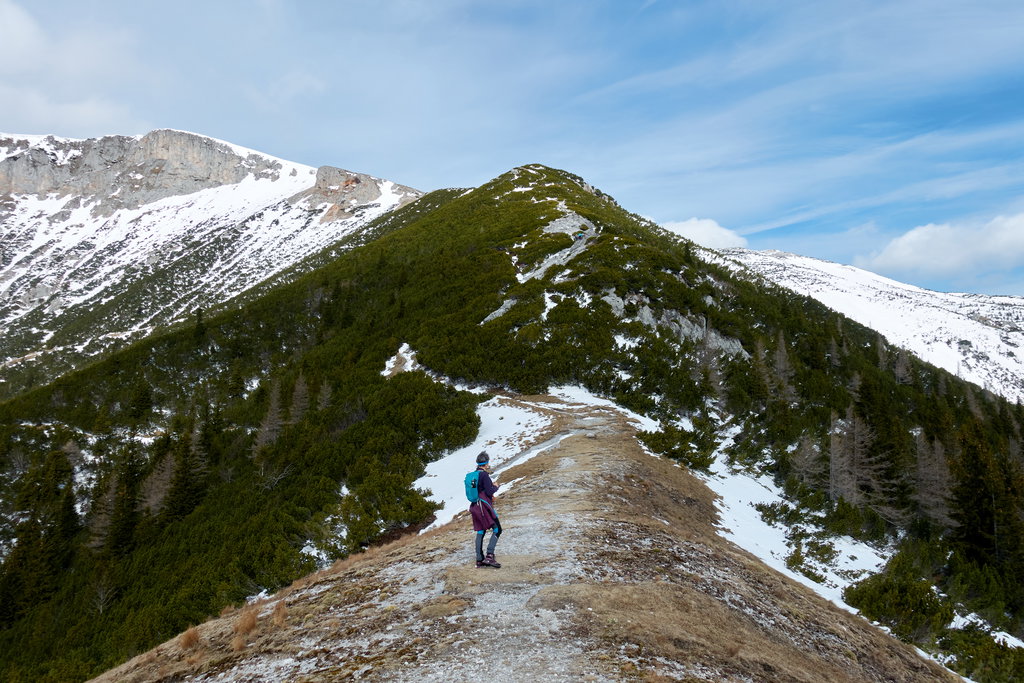 Waxriegelkamm. Foto Martin Heppner