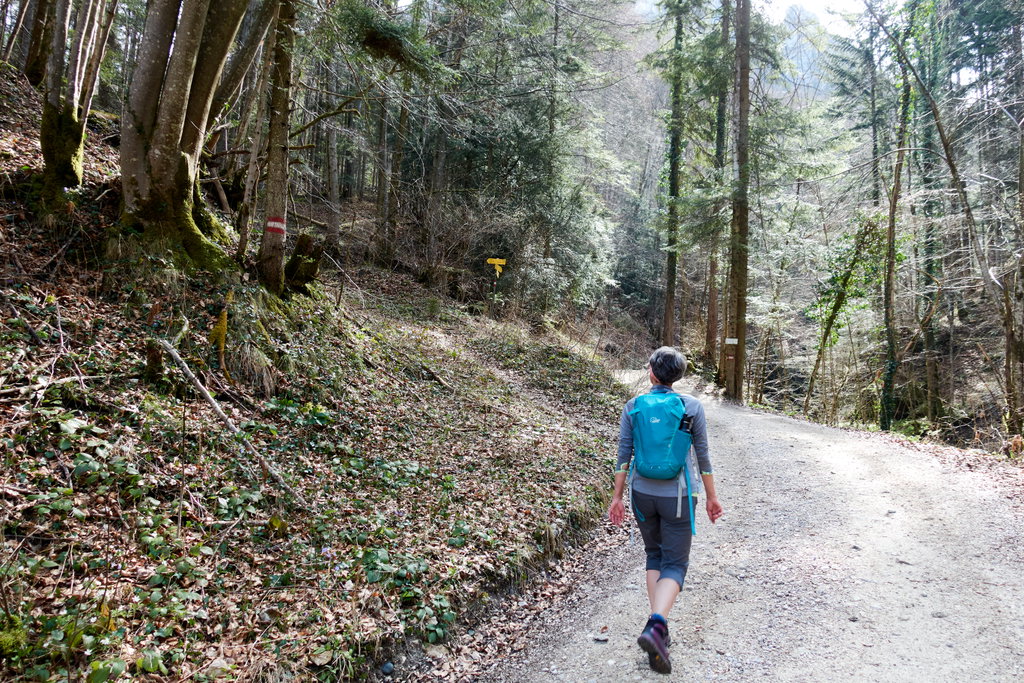 ier geht´s rauf zur Hohen Dirn. Foto Martin Heppner