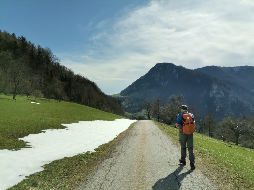 Vor uns die Hohe Dirn, dazwischen der Wendbachgraben. Foto, Veronika Schöll