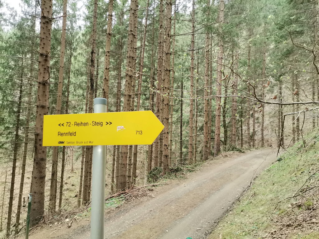 Jetzt wird`s ernst :-). Foto Veronika Schöll