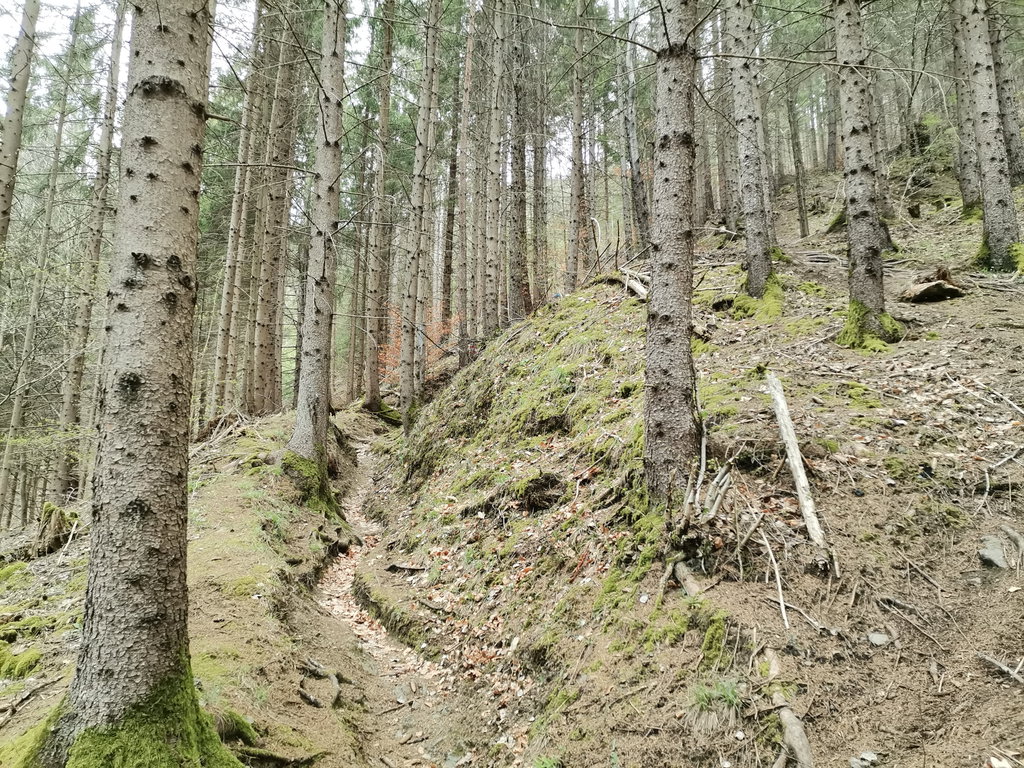 Am 72-Reihen-Steig. Foto Veronika Schöll