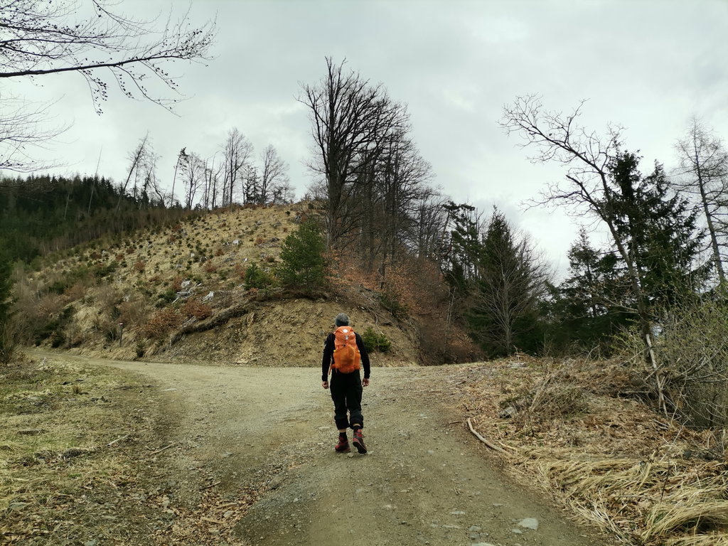 Rechts oder links? Markierungssuchspiel Foto Veronika Schöll