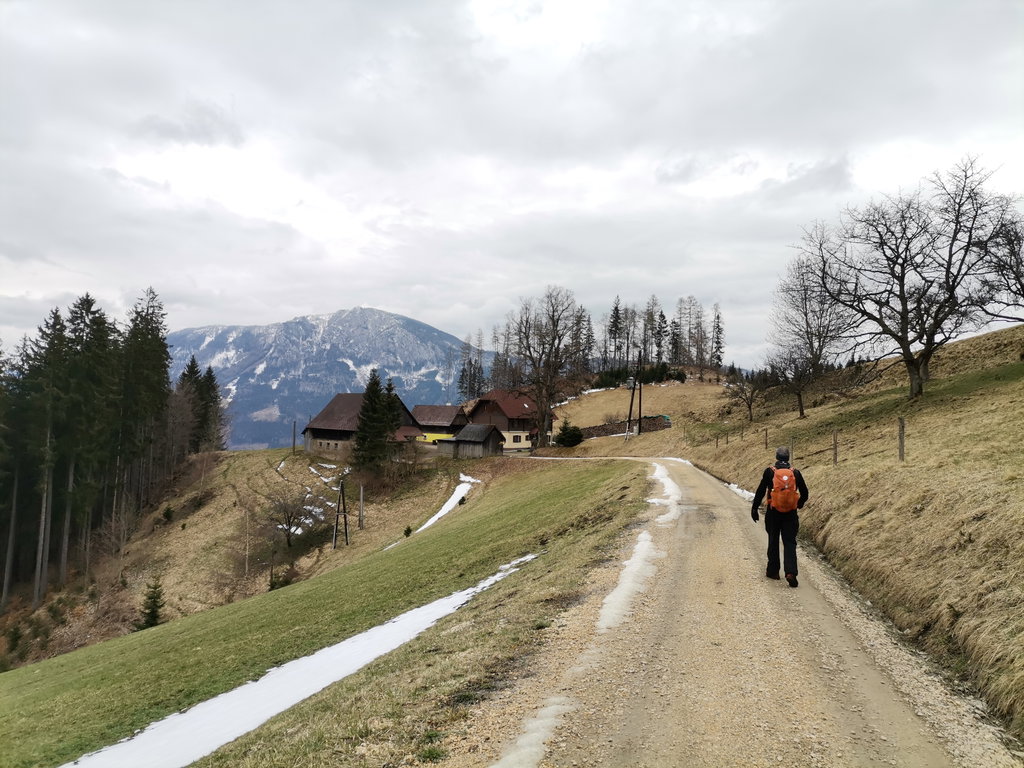 Richtung Eggersattel. Foto Veronika Schöll