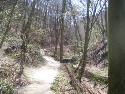 Hagenbachklamm 6. Foto: Johann Fischer