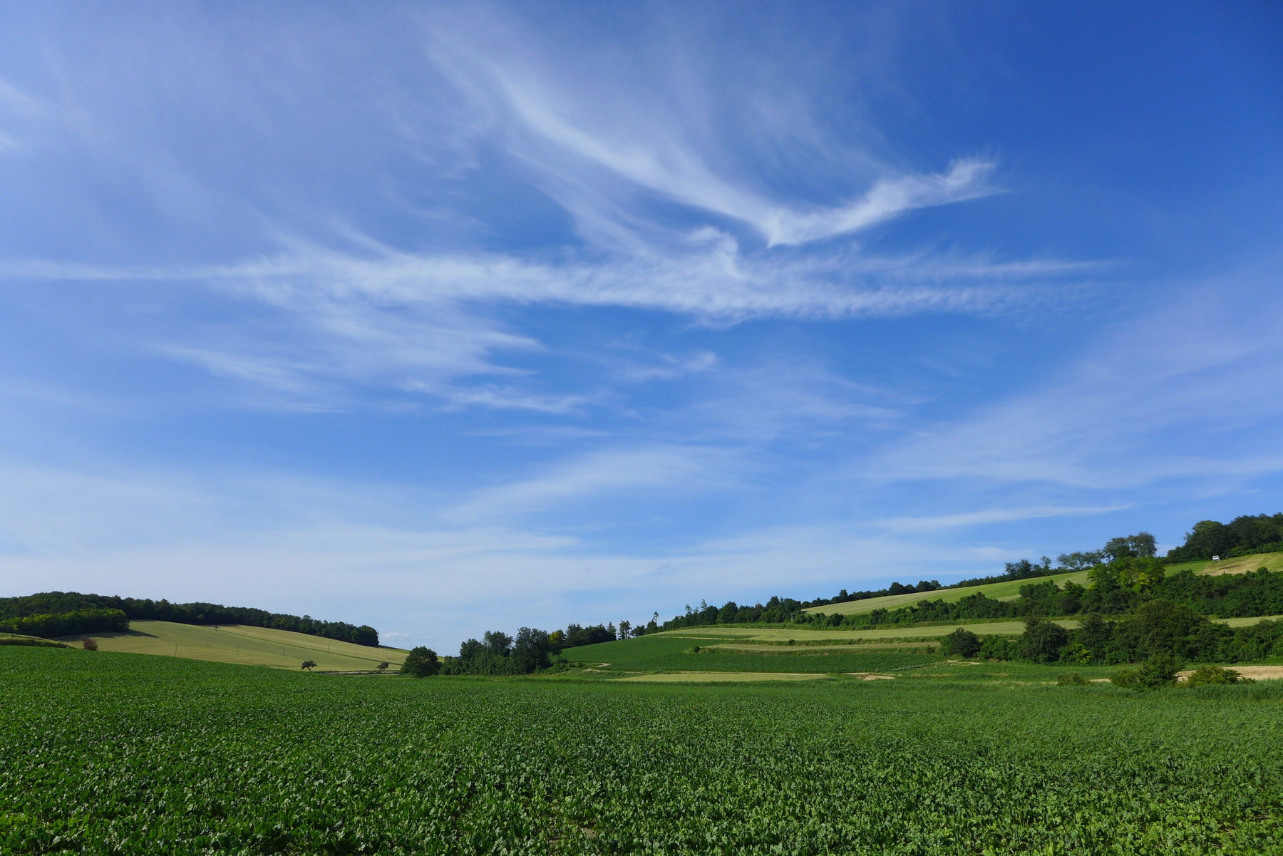 Auf ins Weinviertel!