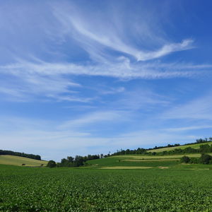 Auf ins Weinviertel!