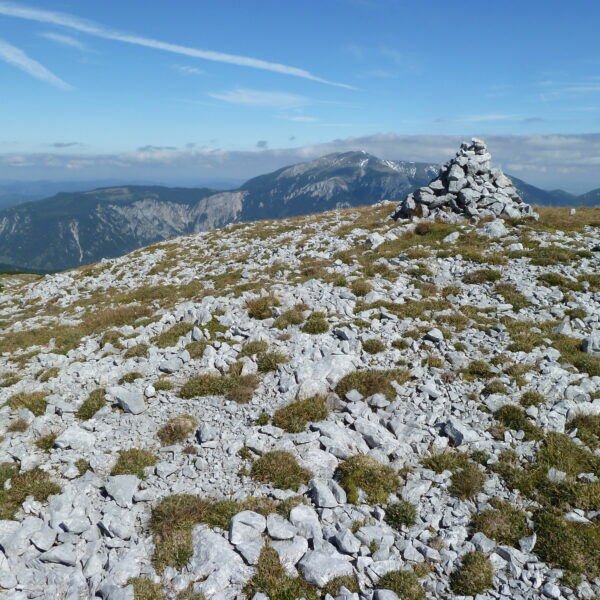 Auf der Scheibwaldhöhe, im Hintergrund der Schneeberg. Foto: Alpenverein Edelweiss