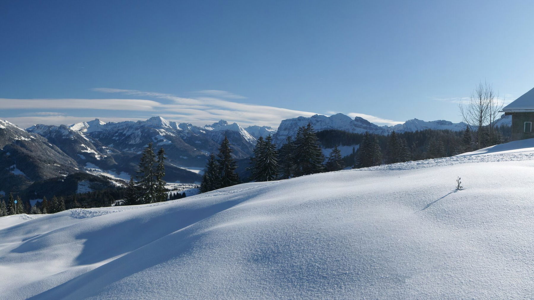 Hochälpele. Foto: Böhringer Friedrich.
