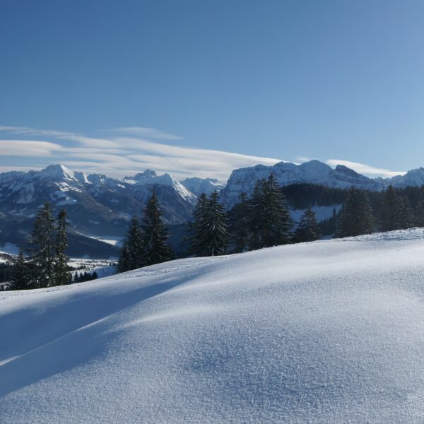 Hochälpele. Foto: Böhringer Friedrich.