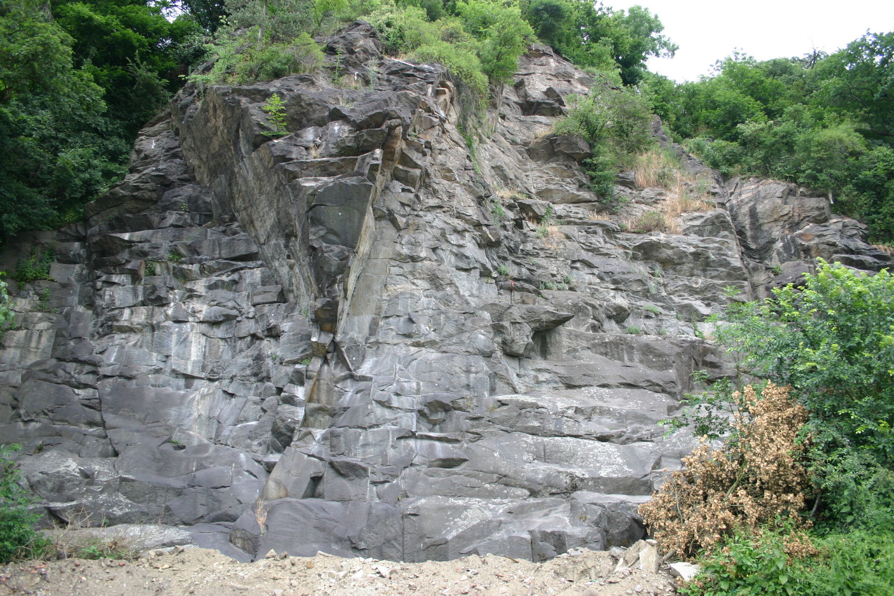 Klettergarten Buchinger Wand