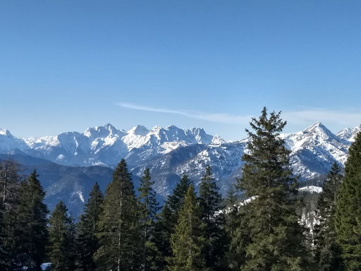 Kurz vor der Kohleralm. Foto: Nikolaus Vogl