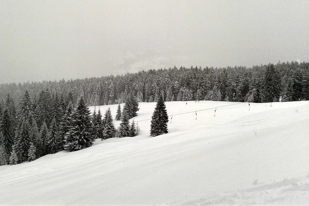 Schitour auf Hochälpele. Foto: Barbara Kuen