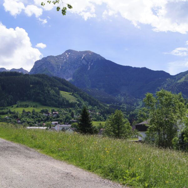 WohlfühlWeg Kleine Wurrunde. Foto: Naturfreunde Österreich