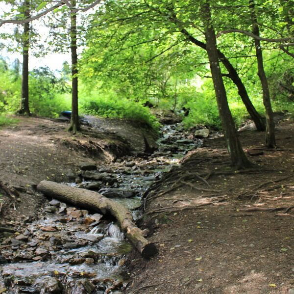 Wohlfühlweg Weitental. Foto: Christian Wagner