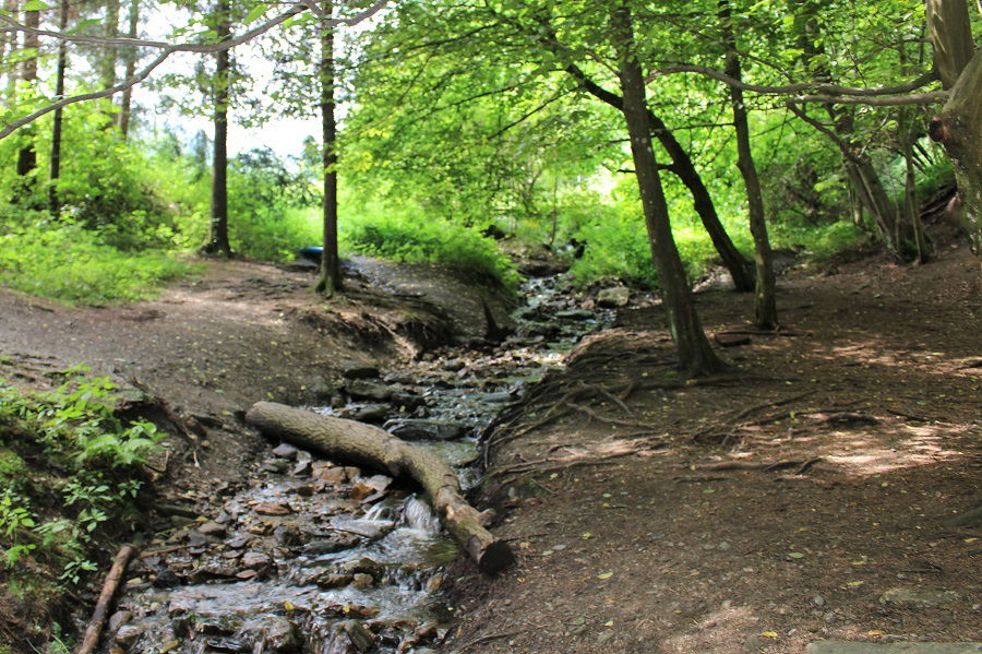 Wohlfühlweg Weitental. Foto: Christian Wagner
