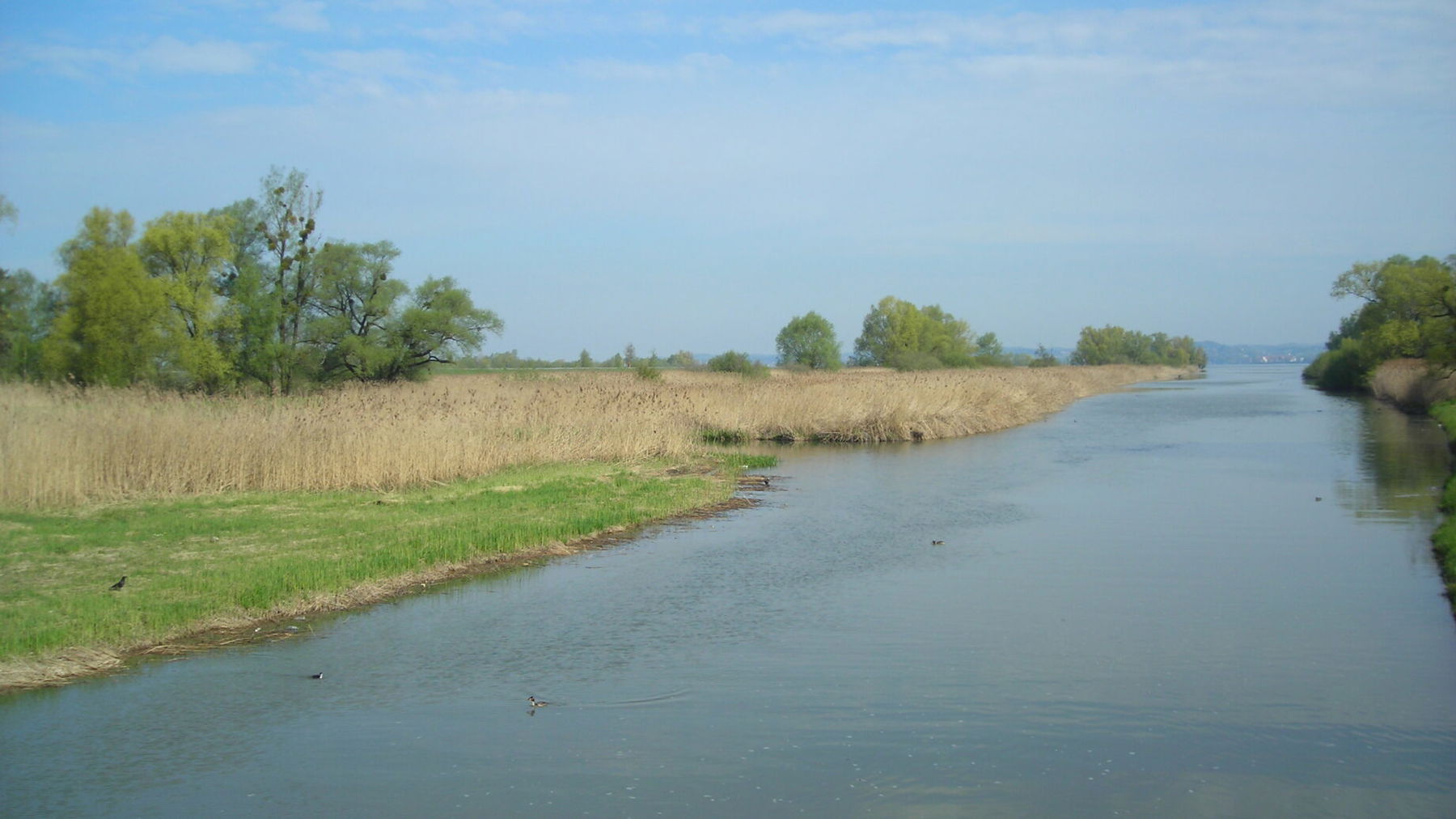 Rheindelta. Foto: Andrea Lichtenecker