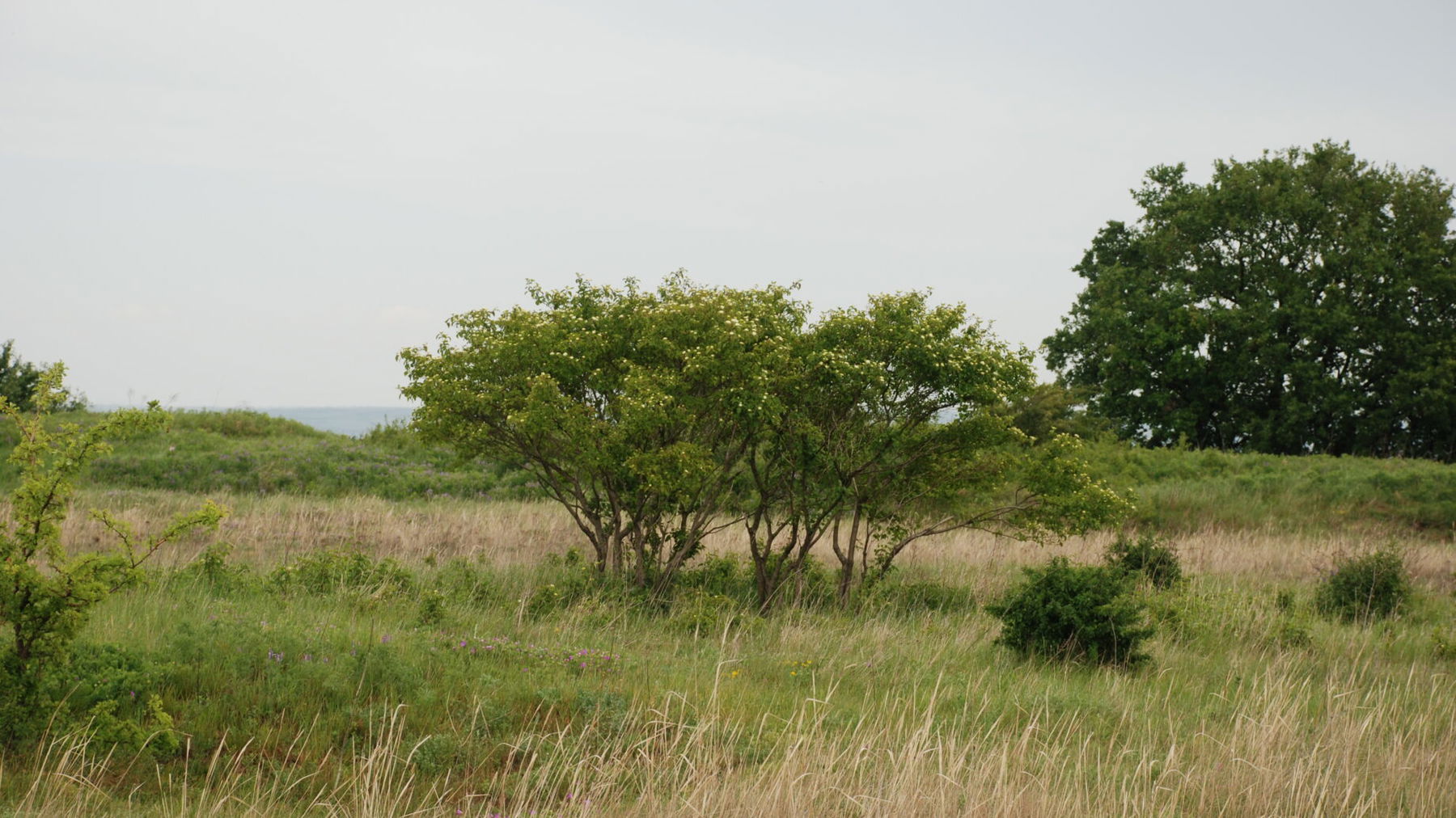 Natura Trail Bisamberg. Foto: Andrea Lichtenecker