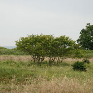 43 Natura Trail „Der Bisamberg“